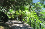 Mediterranean plants along the Gilfpromenade in Merano.