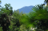 Berge, Palmen und Zypressen prägen das Stadtbild von Meran.