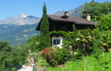 Tappeiner Trail in Merano: palm trees and incredible view to the Texelgruppe.